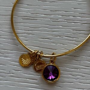 Alex and Ani Gold Bangle Bracelet with Purple Charm